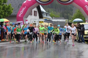 Ardninger Volkslauf, der 14te
